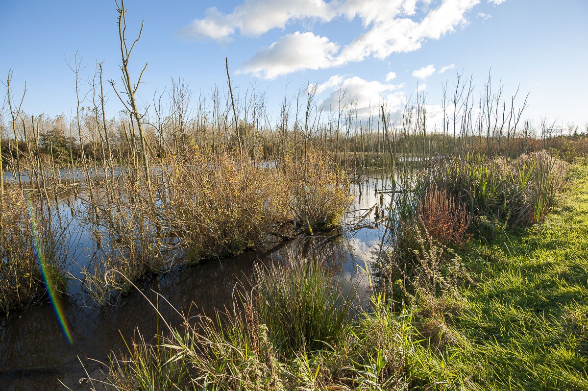 schalkwijk_015-2.jpg