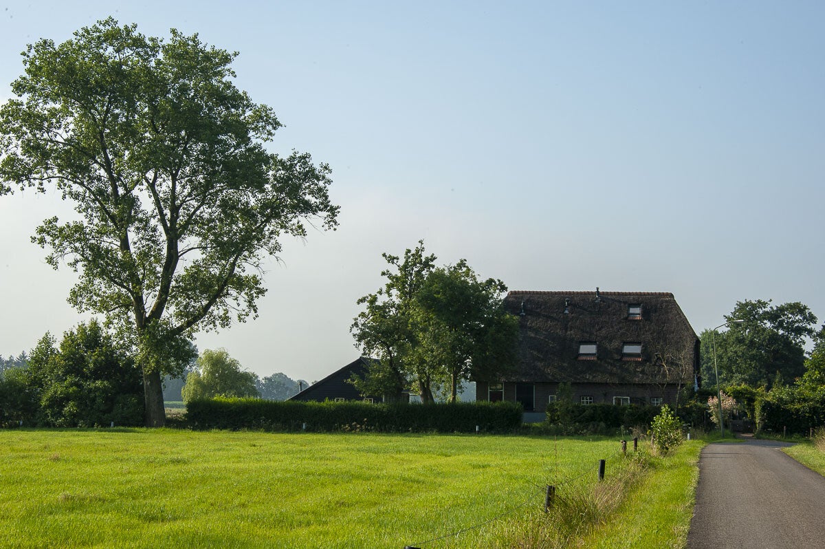 schaverensepad_027.jpg