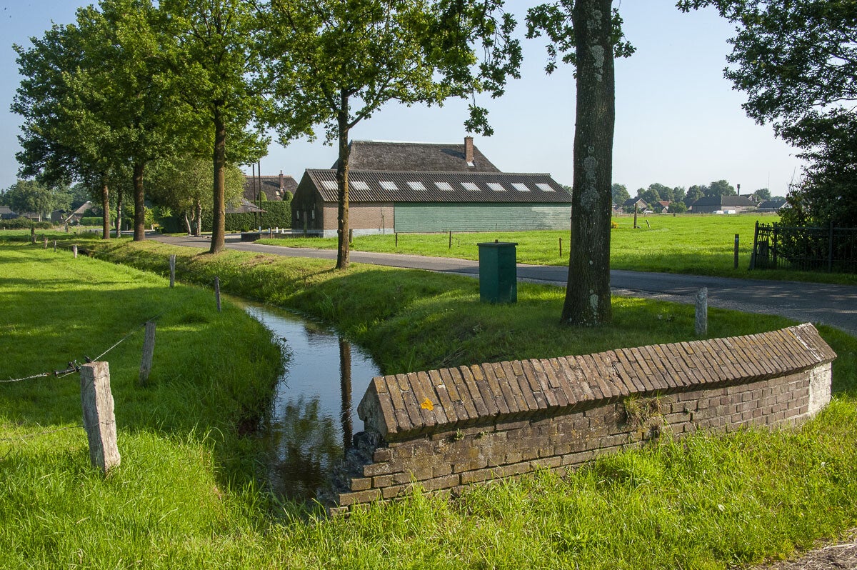 schaverensepad_029.jpg