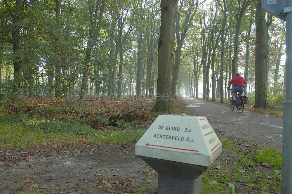 scherpenzeel_recreatie_296.jpg
