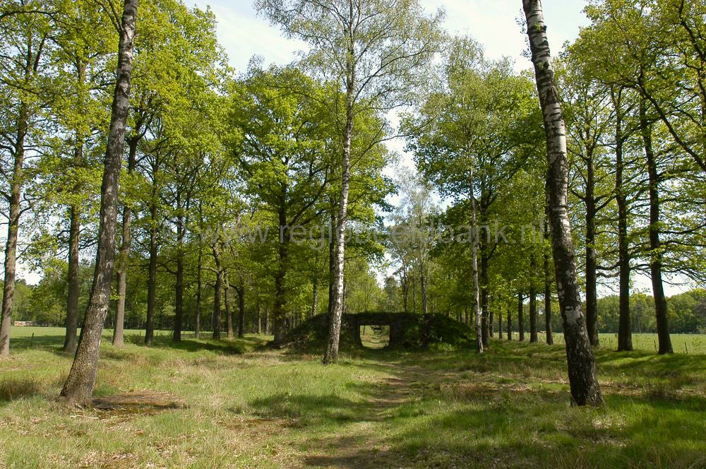 schietbaan_002.jpg