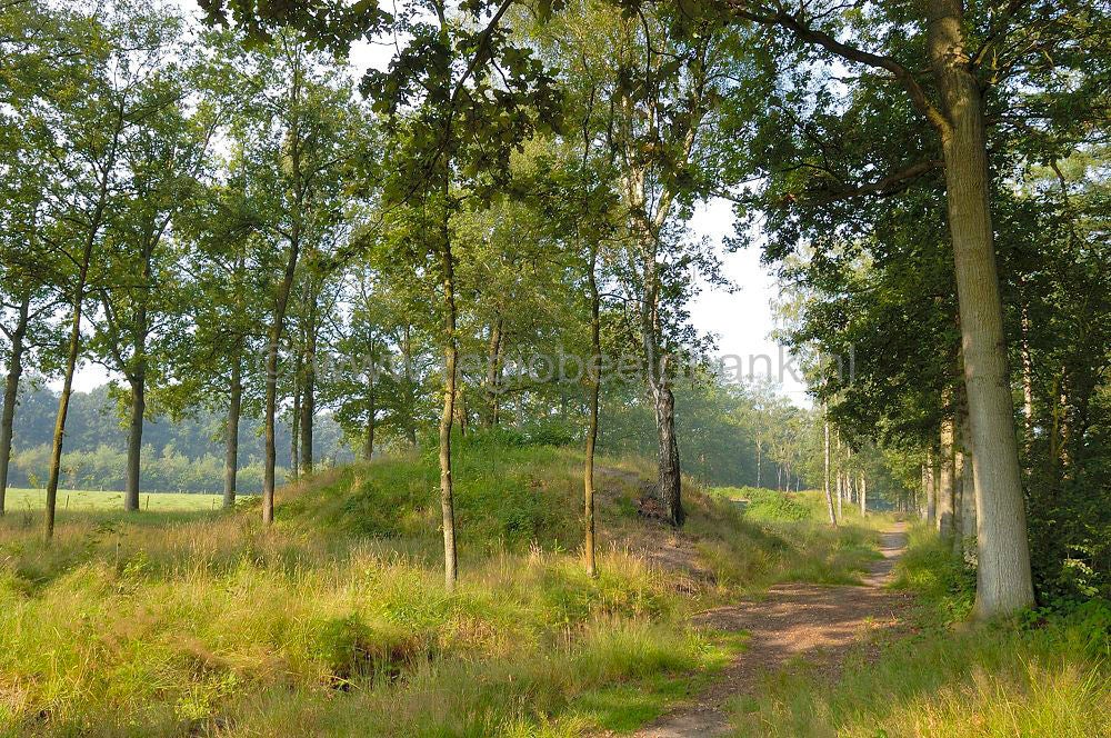 schietbaan_009.jpg