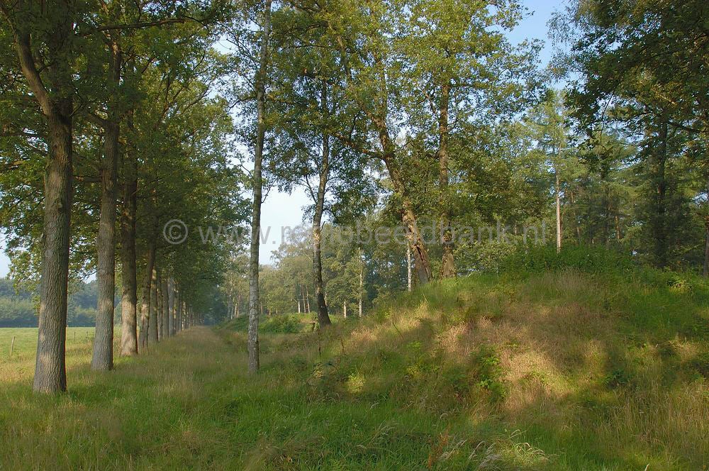 schietbaan_010.jpg