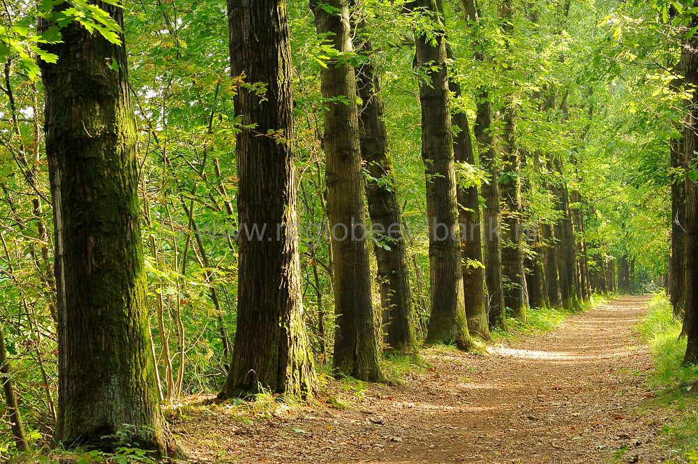 schietbaan__071.jpg