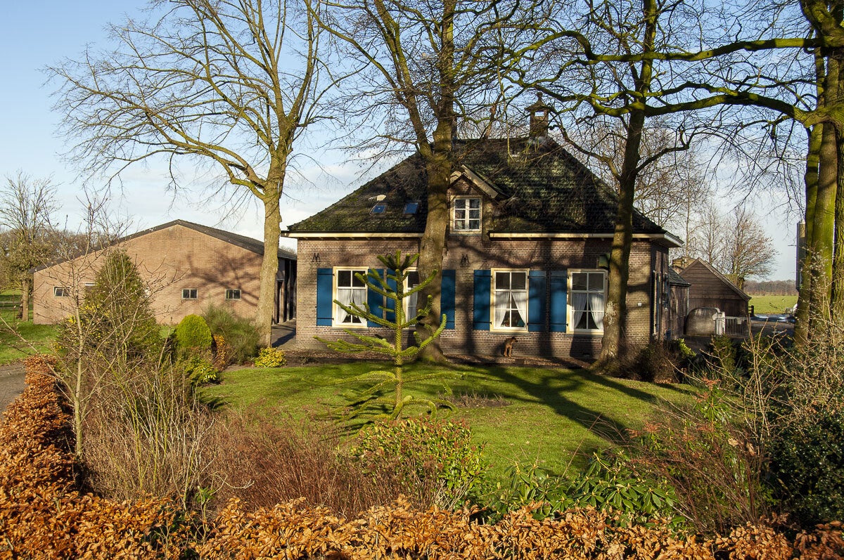 schutpad_004-1.jpg