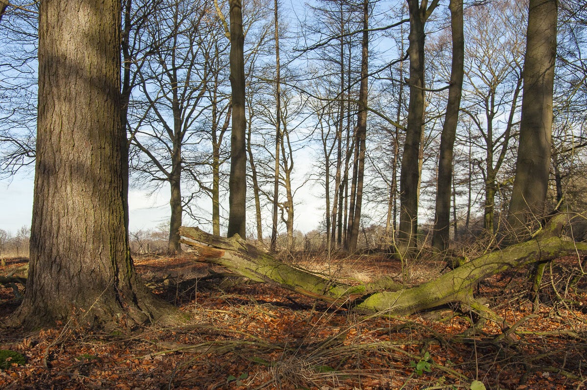 schutpad_012-1.jpg