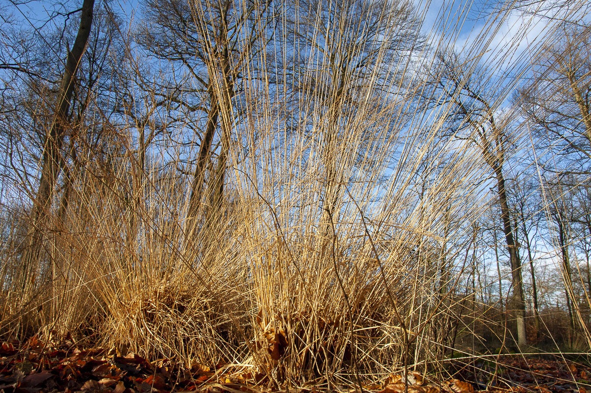 schutpad_016-1.jpg