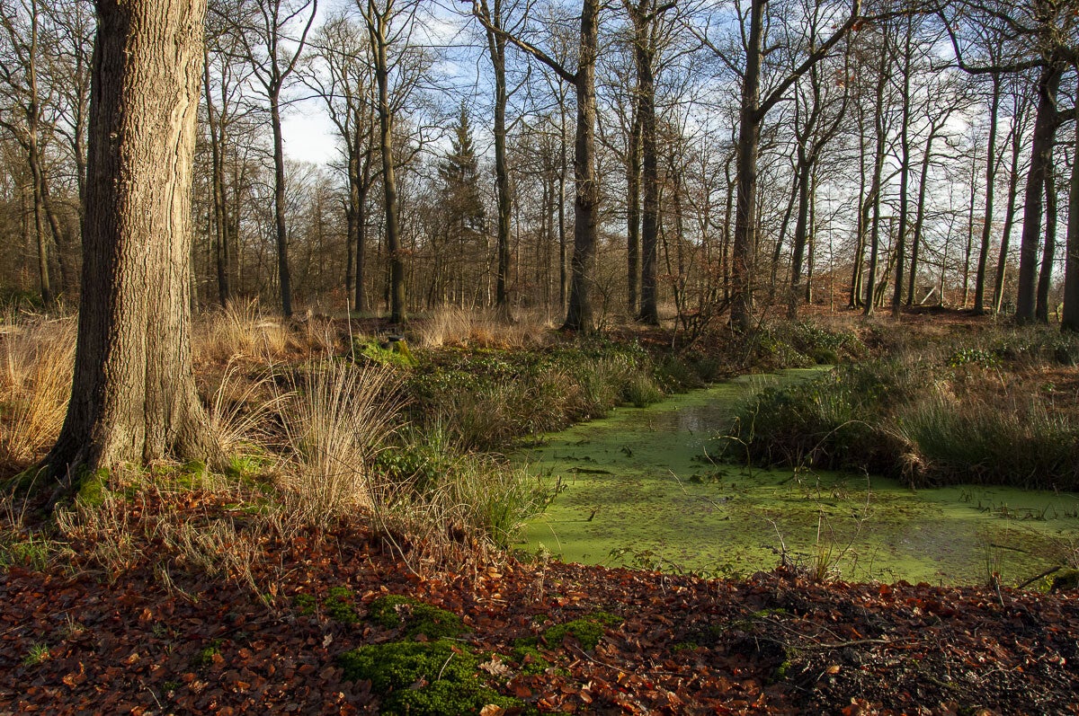 schutpad_018-1.jpg