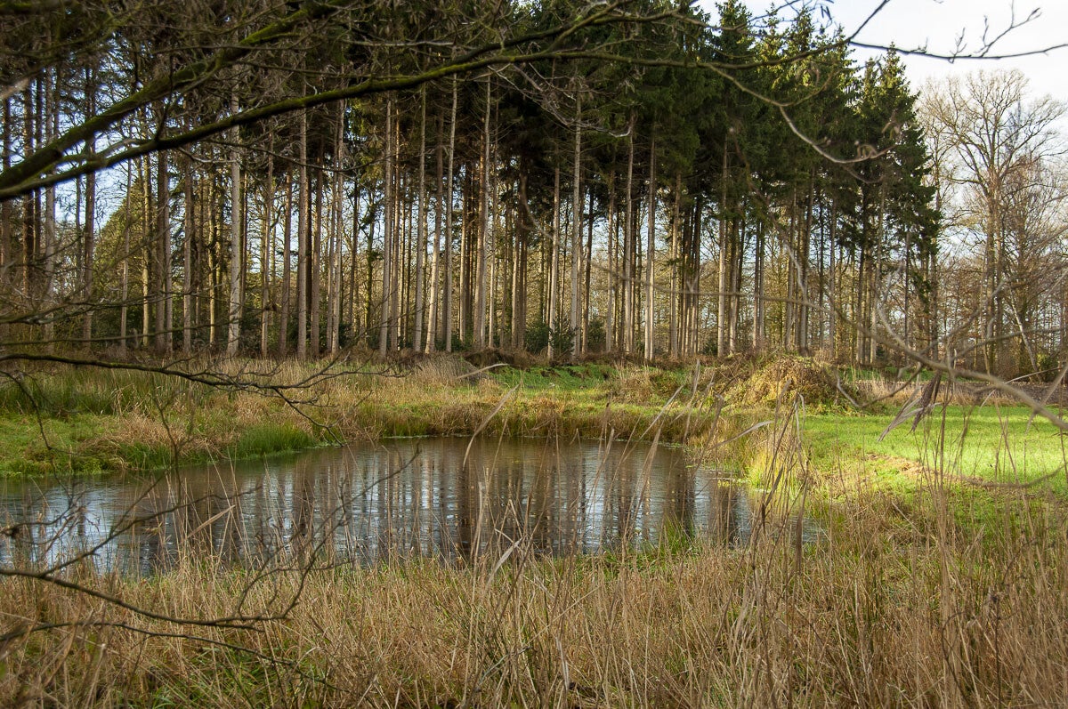 schutpad_026-1.jpg
