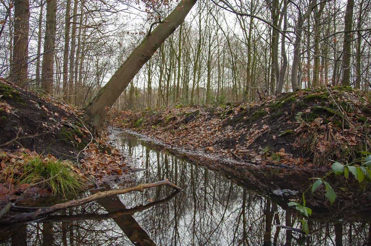 schutpad_035-1.jpg