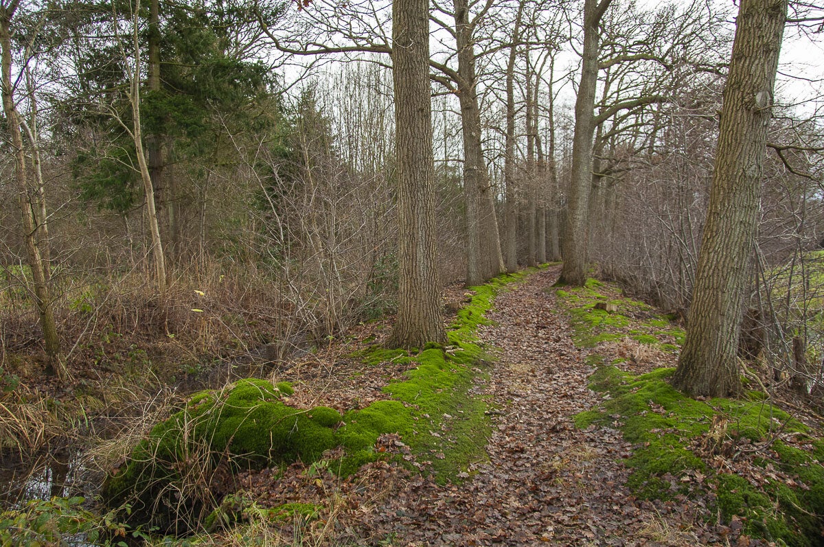 schutpad_037.jpg