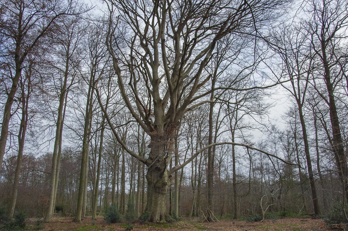 schutpad_044.jpg