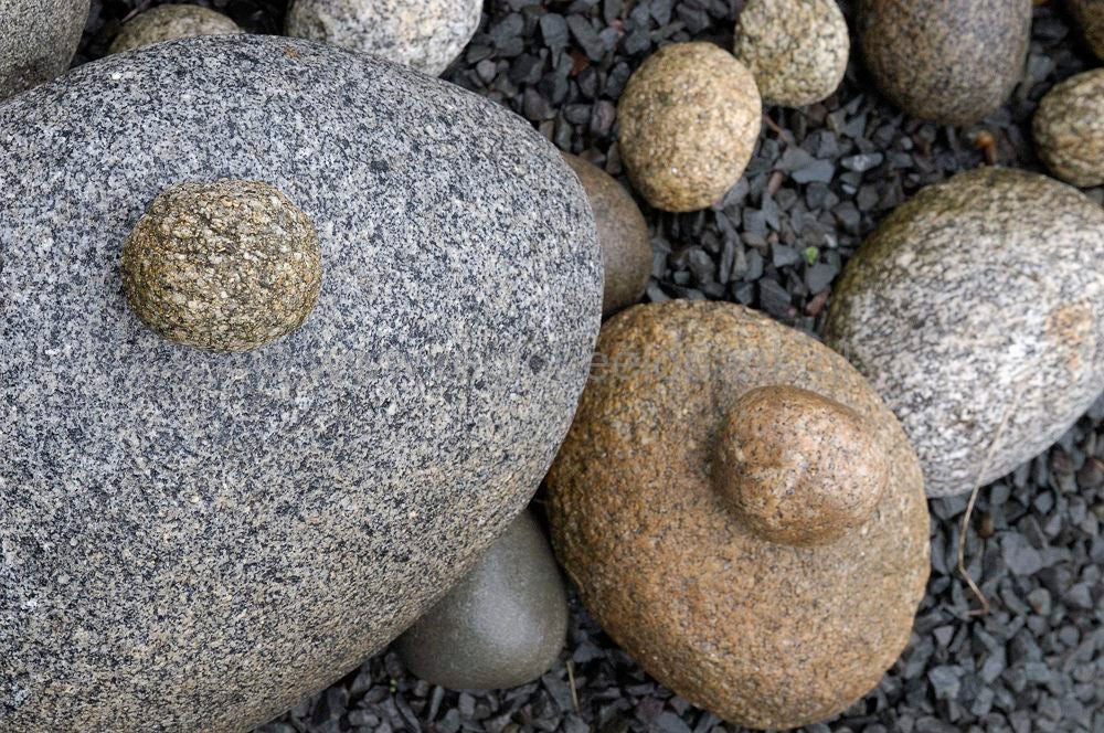 scotland_andygoldsworthy_0051.jpg