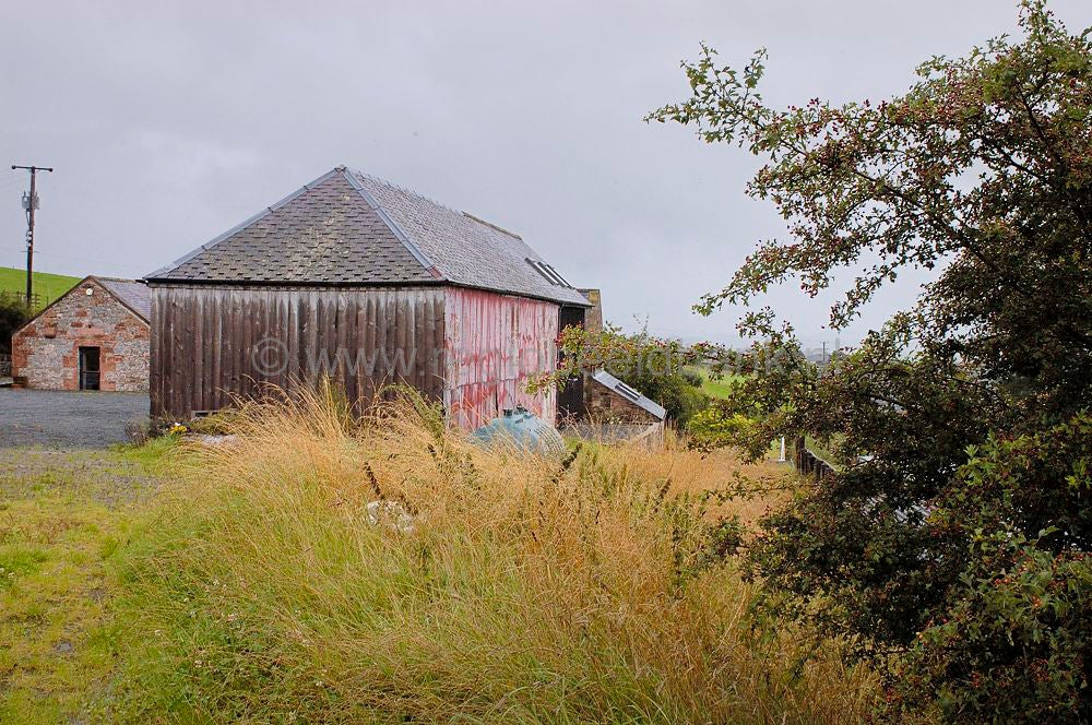 scotland_andygoldsworthy_0061.jpg