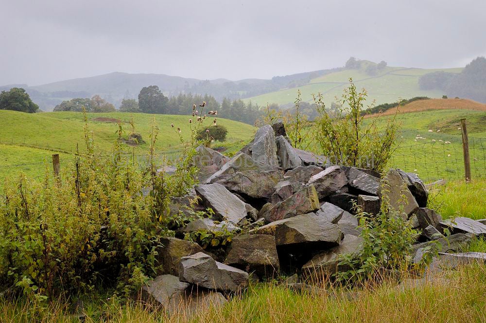scotland_andygoldsworthy_0065.jpg