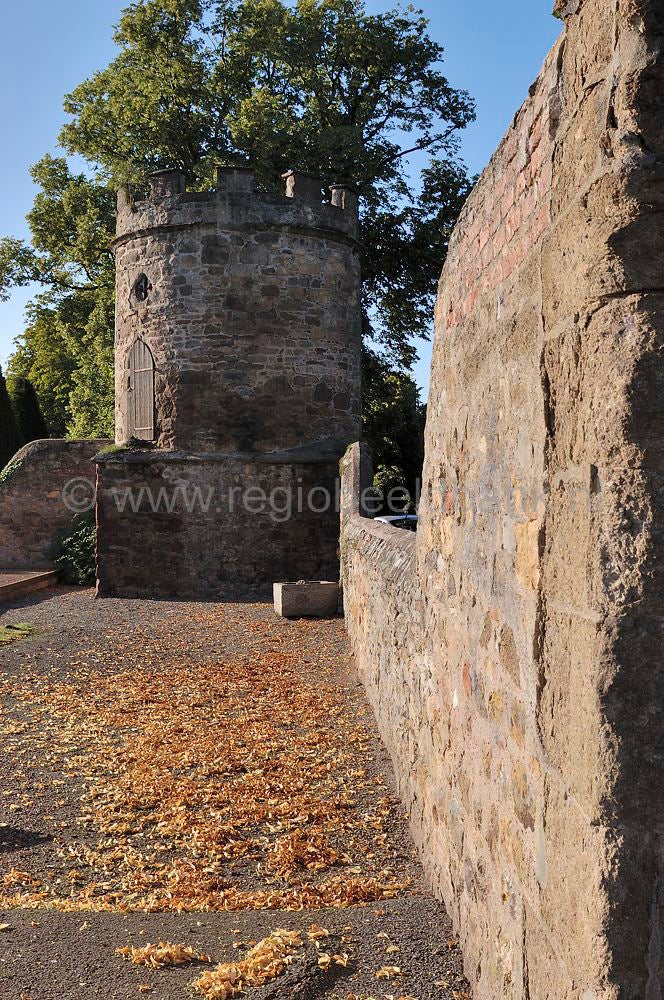 scotland_haddington_0478.jpg