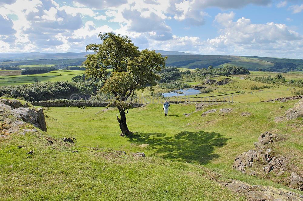 scotland_hadrianwall_0527.jpg