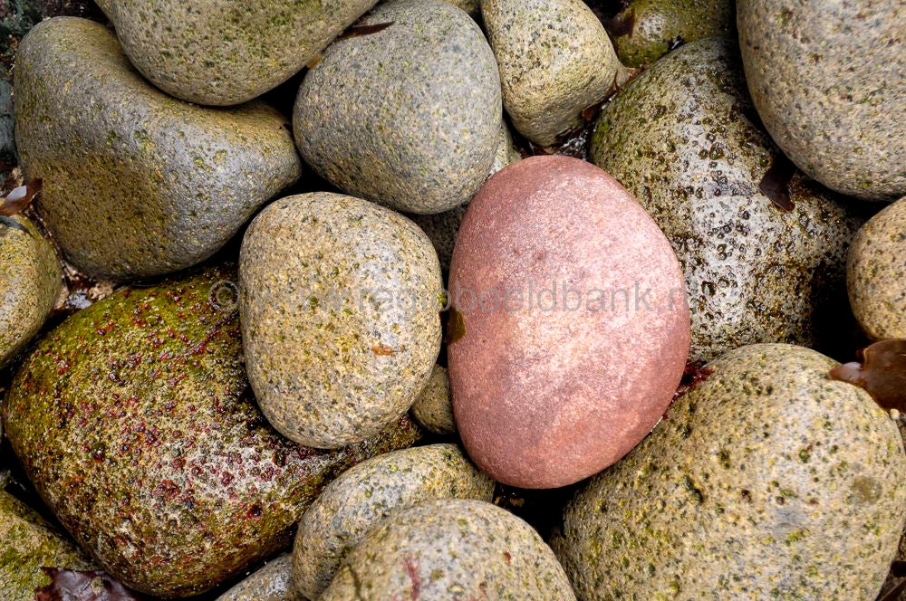 skye_braes_129.jpg