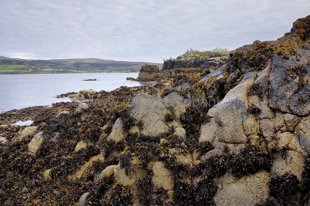 skye_braes_131.jpg