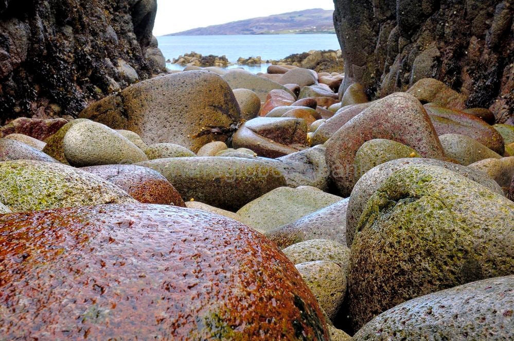 skye_braes_139.jpg