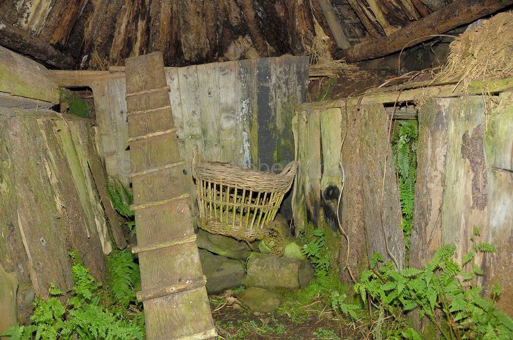 Folk Museum