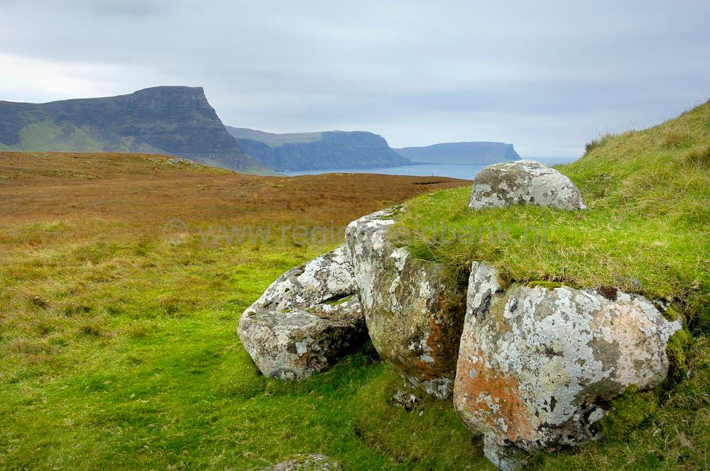 skye_neistpoint_176.jpg