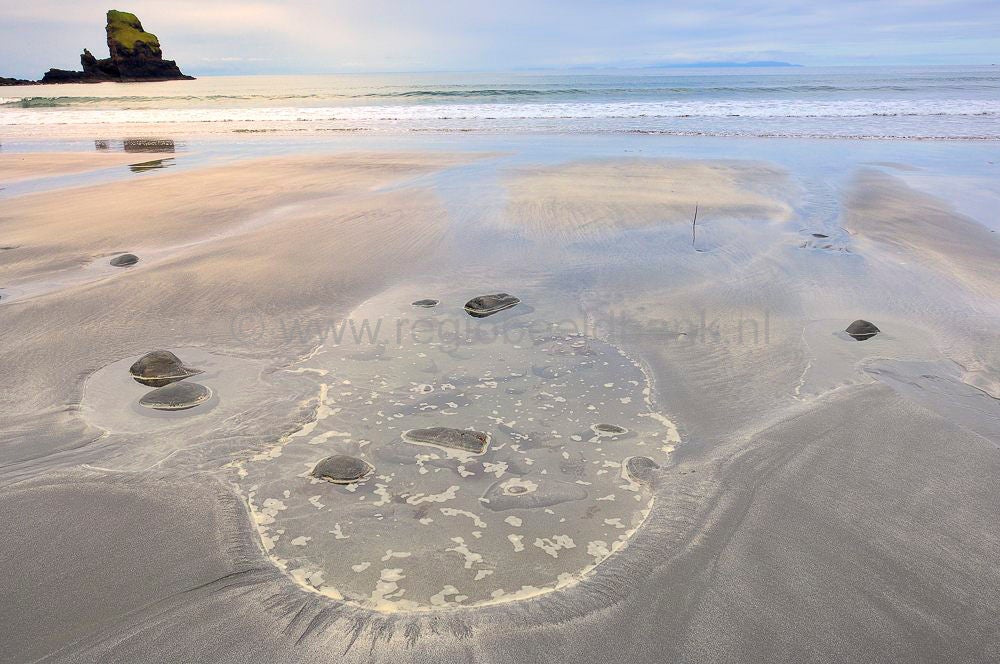 skye_talisker_bay_294.jpg