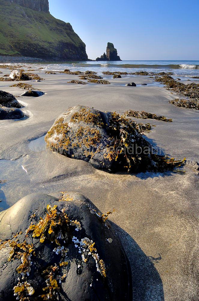 skye_talisker_bay_328.jpg