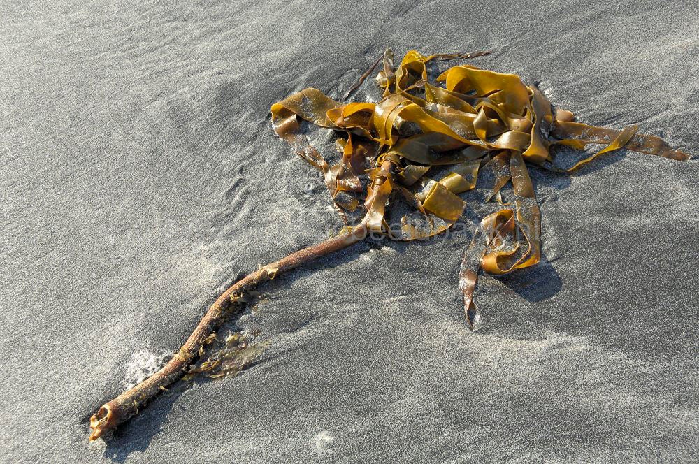 Talisker Bay stills