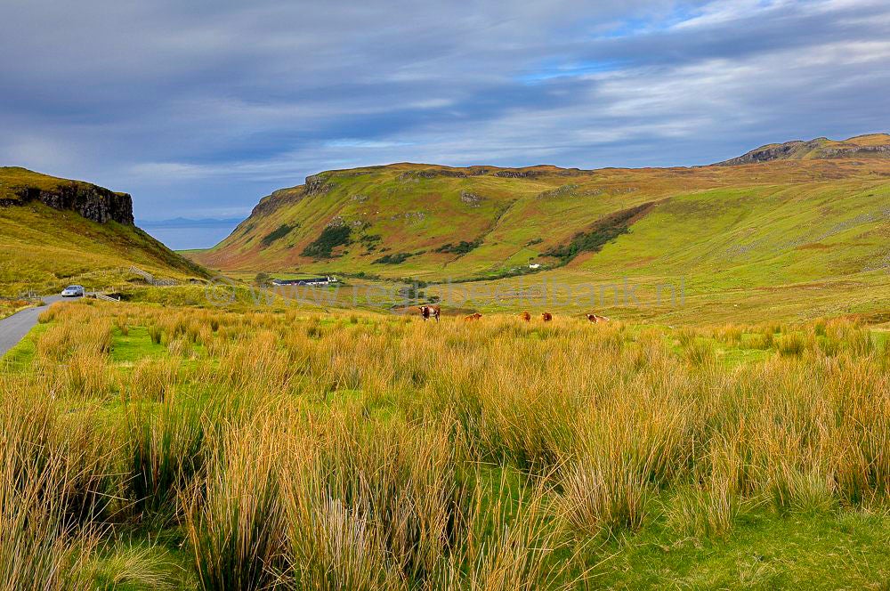 skye_talisker_bay_480.jpg