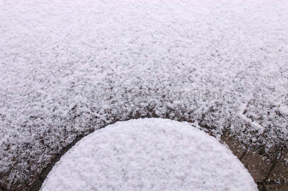 Sneeuw