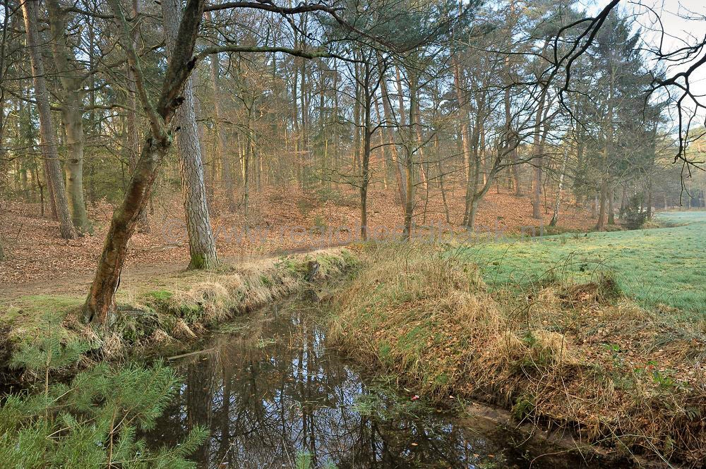 sprengen_drieber_004.jpg