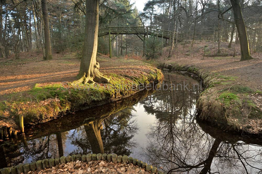 sprengen_drieber_005.jpg