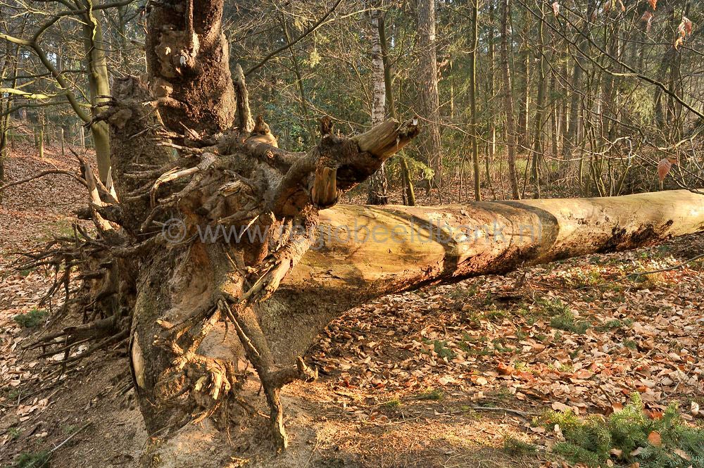 sprengen_drieber_006.jpg
