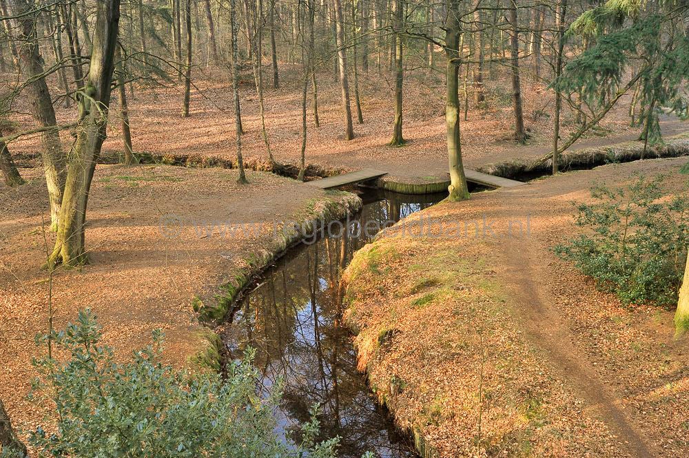 sprengen_drieber_010.jpg