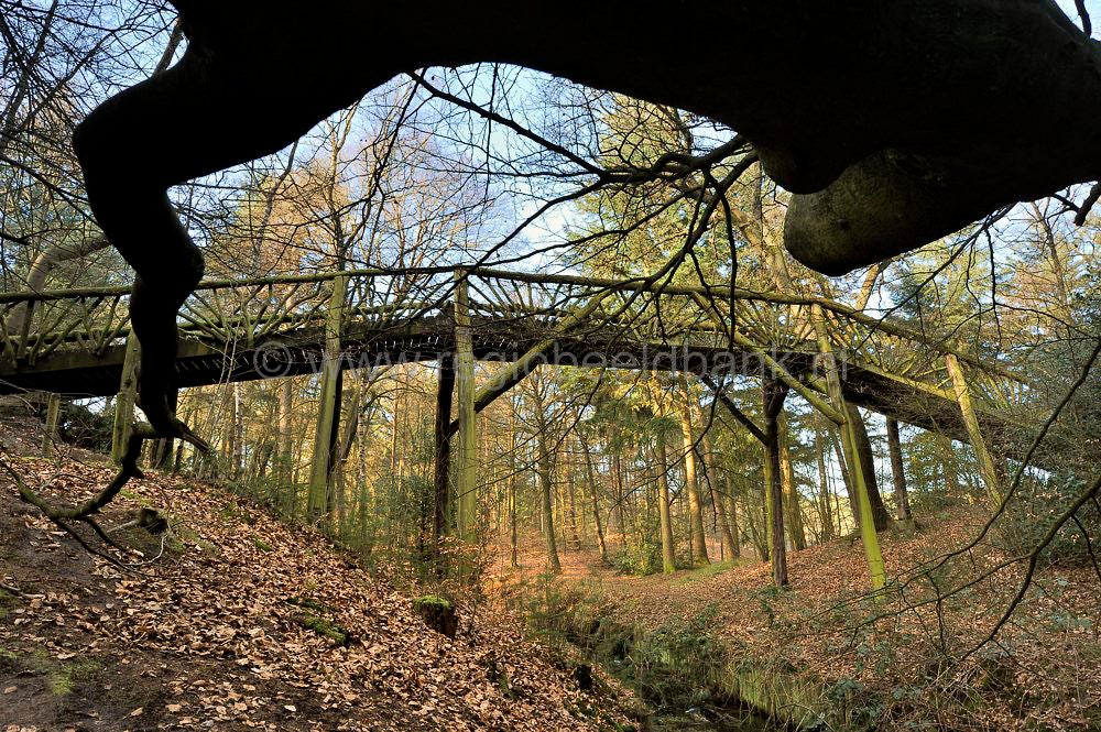 sprengen_drieber_012.jpg