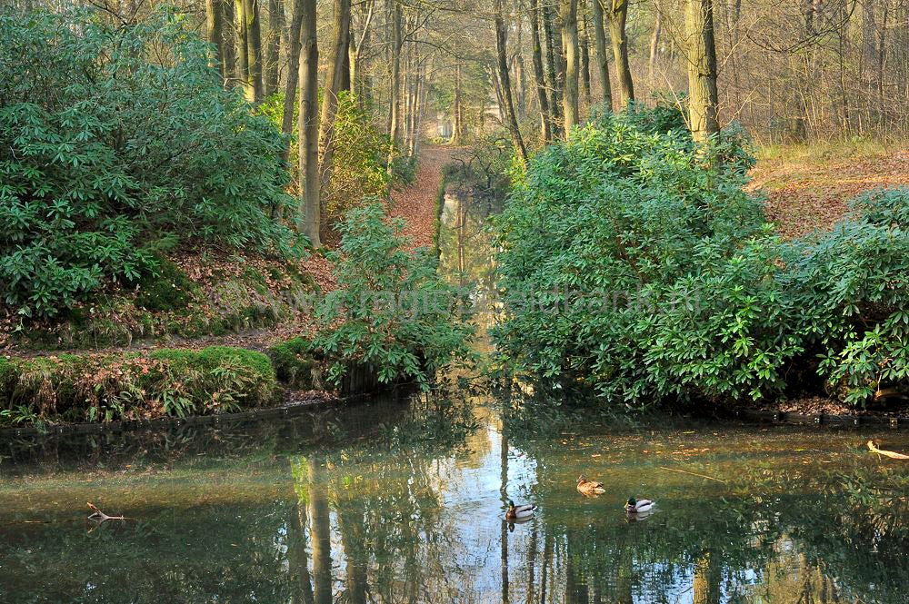 sprengen_drieber_020.jpg