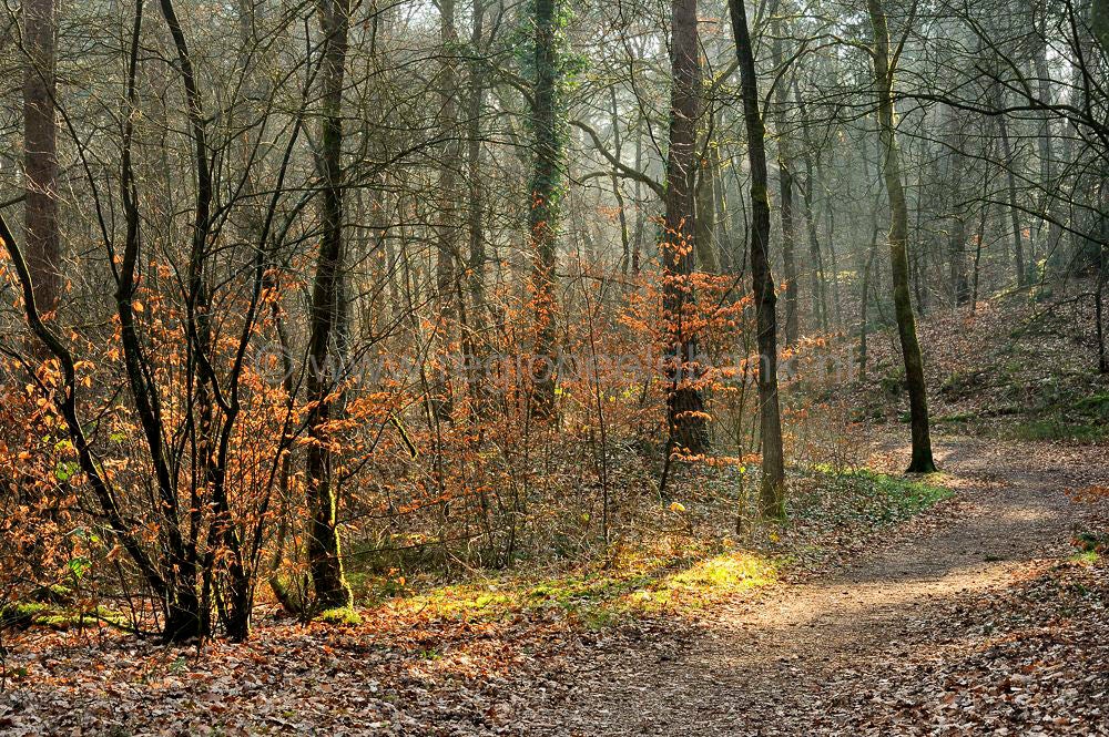 sprengen_drieber_024.jpg