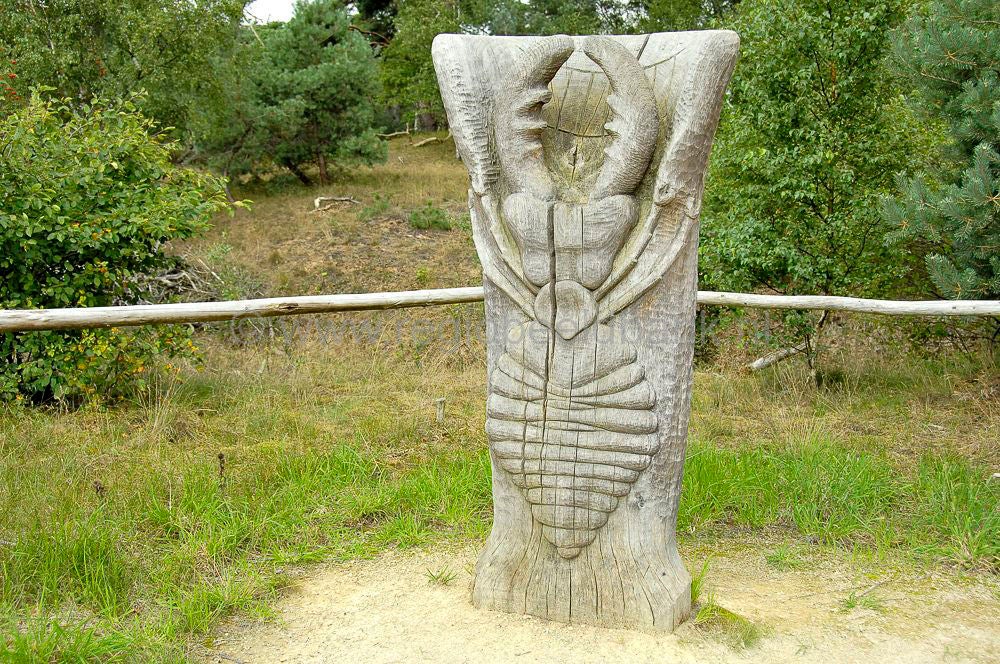 stakenberg-hierdensebeek0049.jpg