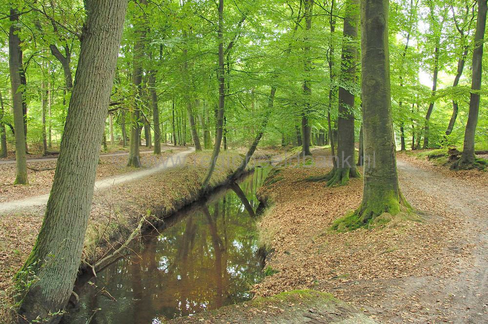 stakenberg-hierdensebeek0053.jpg