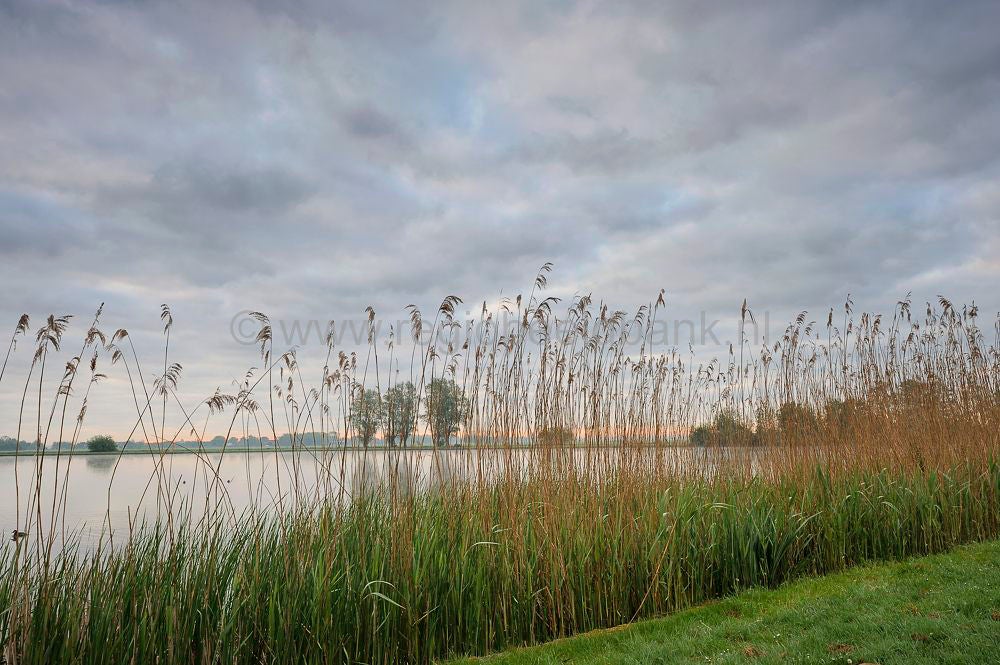 Het Groene Hart 1