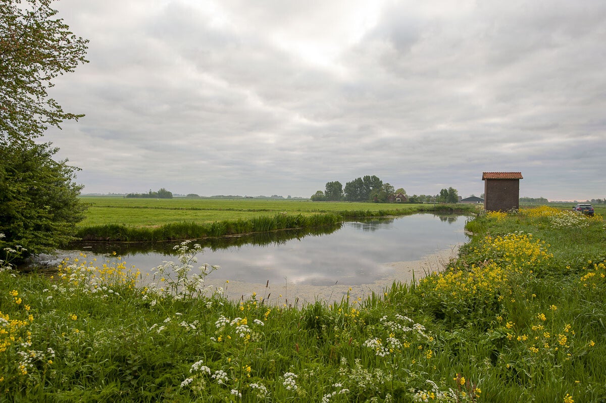 teylingenpad_007-1.jpg