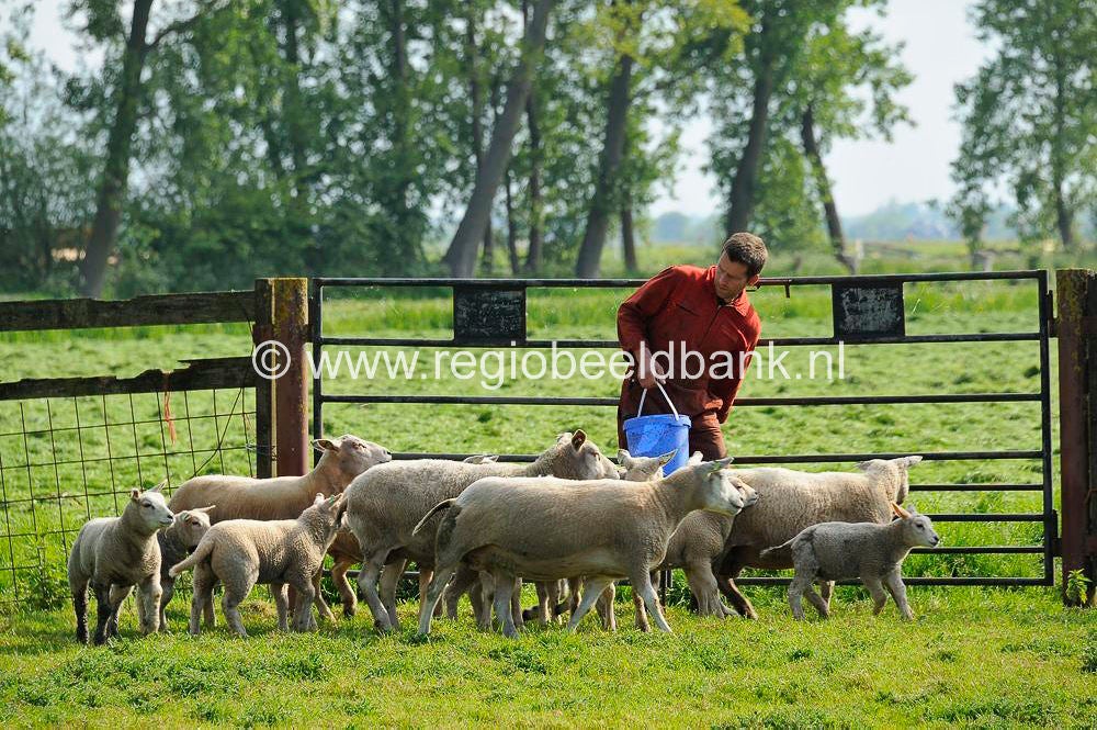 teylingenpad_048.jpg
