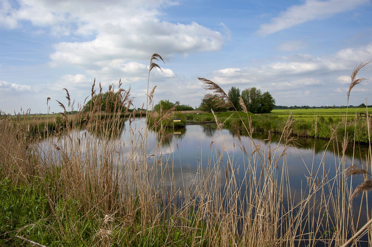 teylingenpad_057-1.jpg