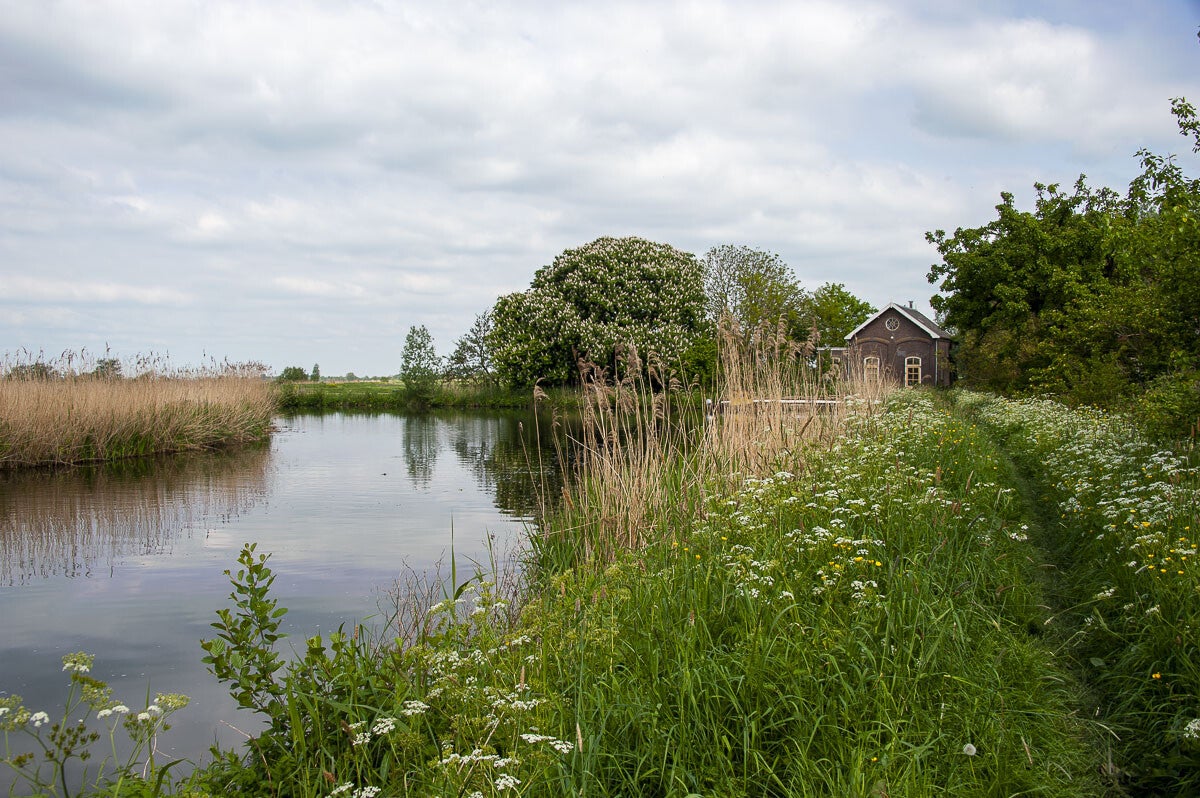 teylingenpad_080-1.jpg
