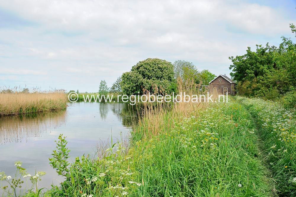 teylingenpad_080.jpg