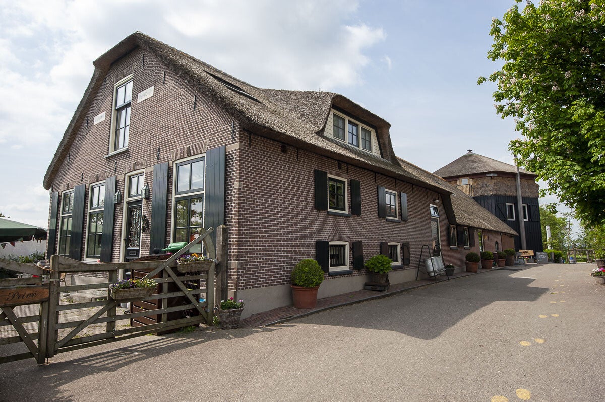 teylingenpad_098-1.jpg