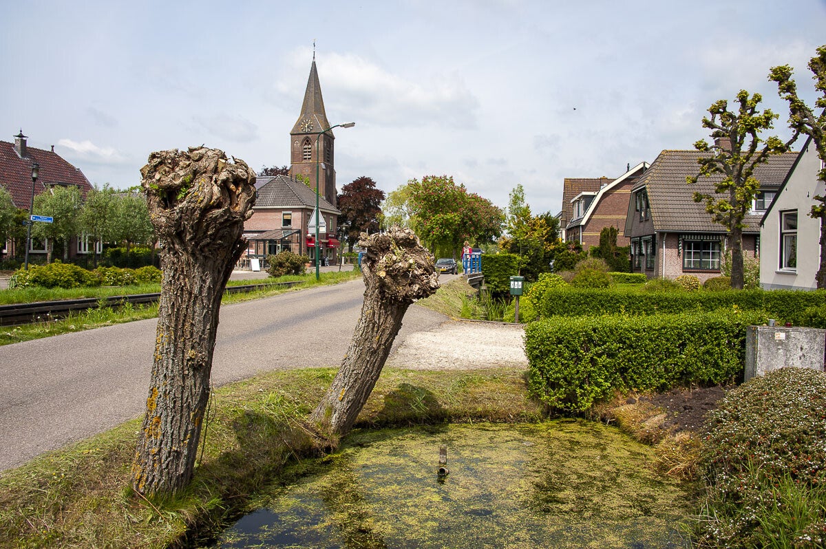 teylingenpad_110-1.jpg