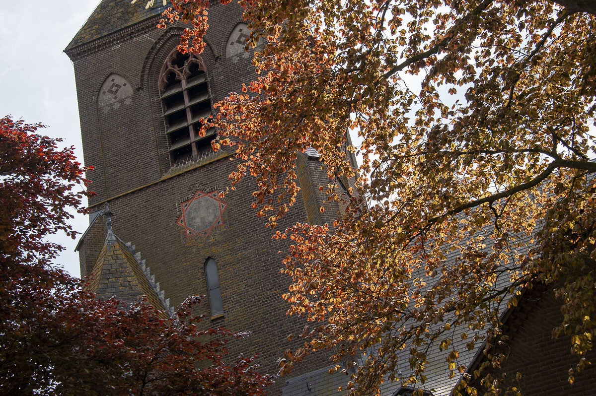teylingenpad_114-1.jpg