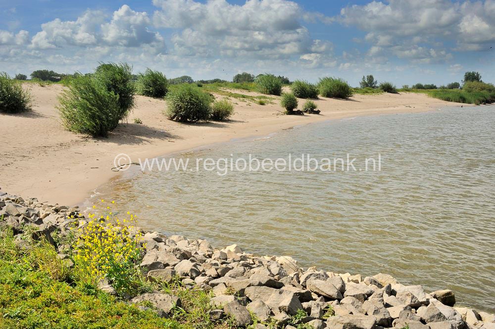 tiel_wamel_012.jpg